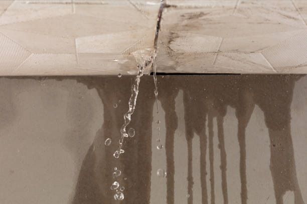 Professional Structural Drying technician working in Lyme, NH